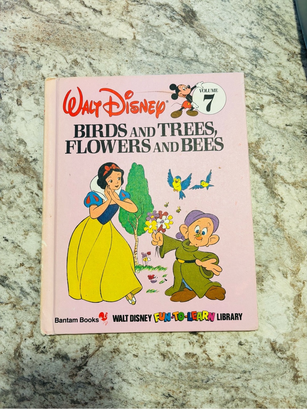 Vintage 1983 Walt Disney Fun-to-Learn Library Vol. 7